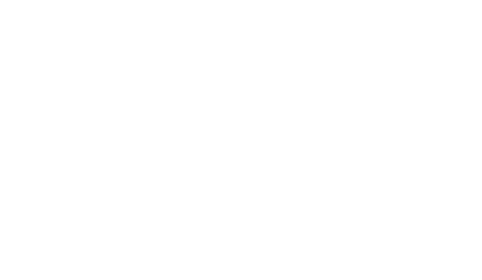 Professional Association of America Member