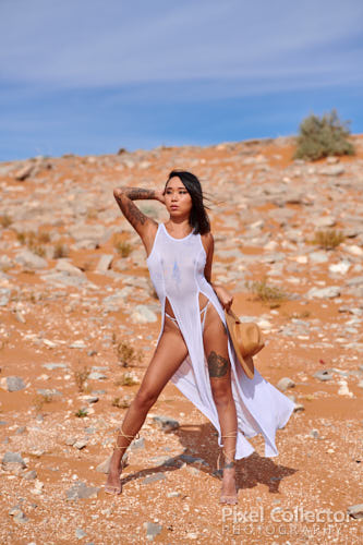 beautiful woman standing in the desert wearing a glamorous dress