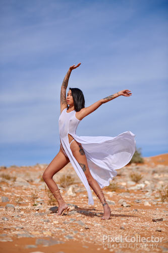 glamorous photography of woman in the desert